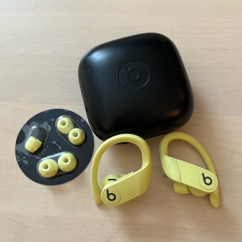 Beats Powerbeats Pro True Wireless Bluetooth In-Ear headphones